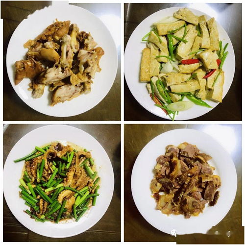 5月14日山东中亚旅行社日程播报